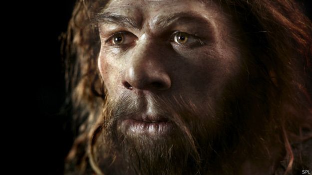 humanos_neandertal